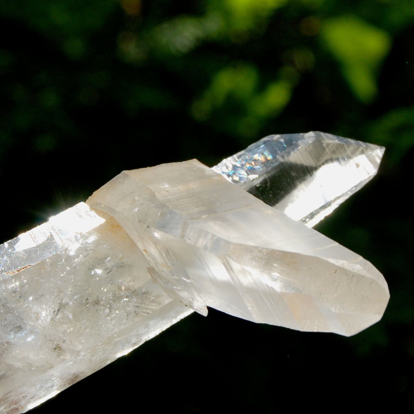 Lemurian Quartz Crystal Starbrary - 4in 106g Tantric Twin Flame Record Keeper,  Colombia
