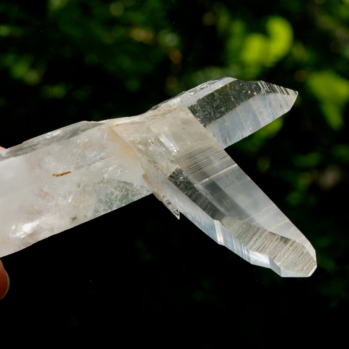 Lemurian Quartz Crystal Starbrary - 4in 106g Tantric Twin Flame Record Keeper,  Colombia