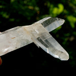 Lemurian Quartz Crystal Starbrary - 4in 106g Tantric Twin Flame Record Keeper,  Colombia