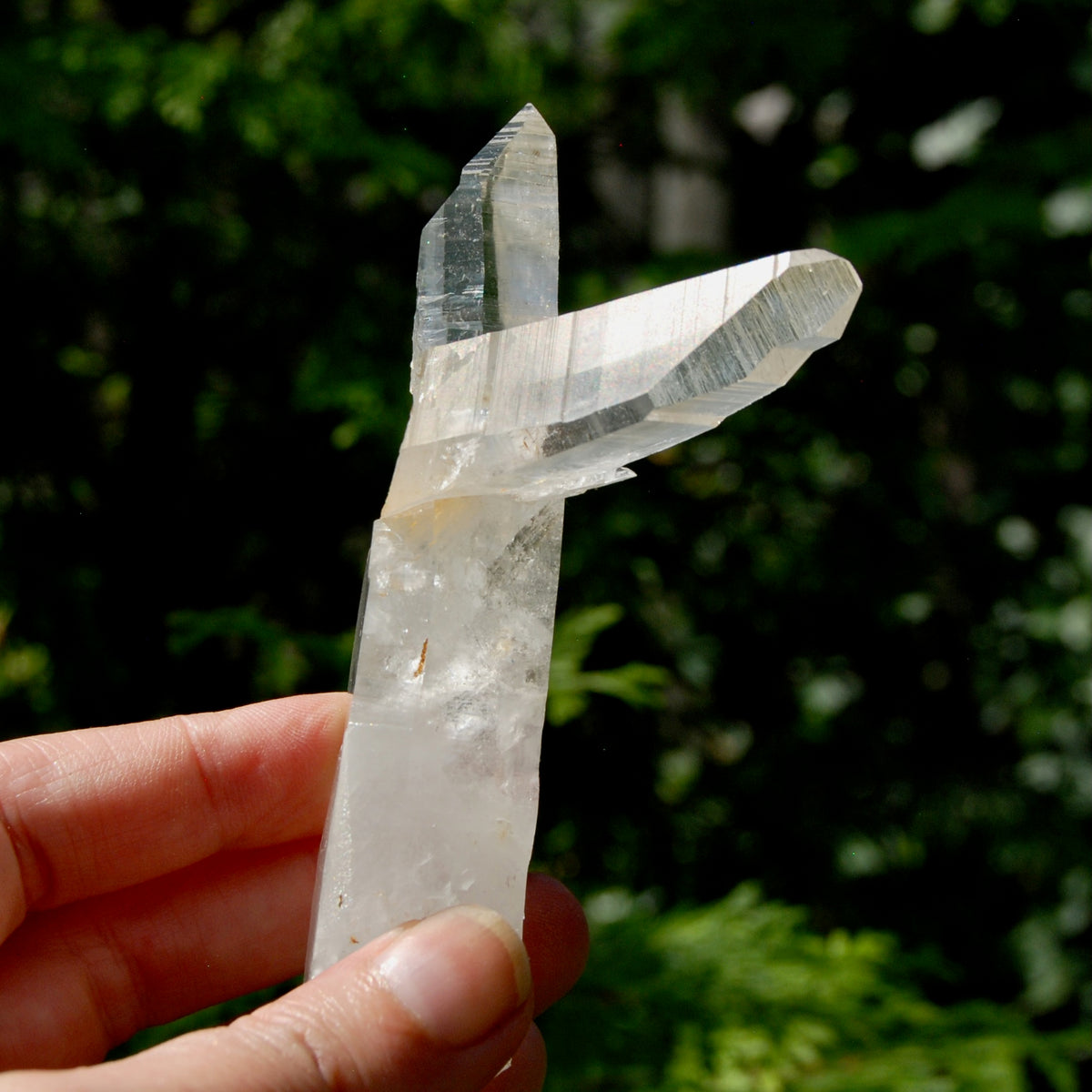 Lemurian Quartz Crystal Starbrary - 4in 106g Tantric Twin Flame Record Keeper,  Colombia