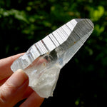 Grounding Lemurian Crystal Starbary Cluster- 3.25" 144g Optical Quartz, Colombia