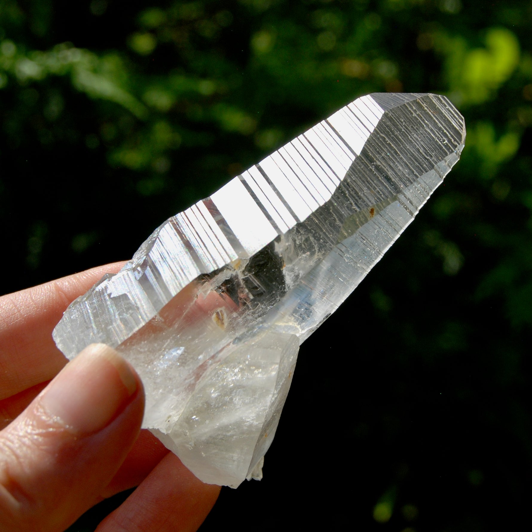Grounding Lemurian Crystal Starbary Cluster- 3.25" 144g Optical Quartz, Colombia