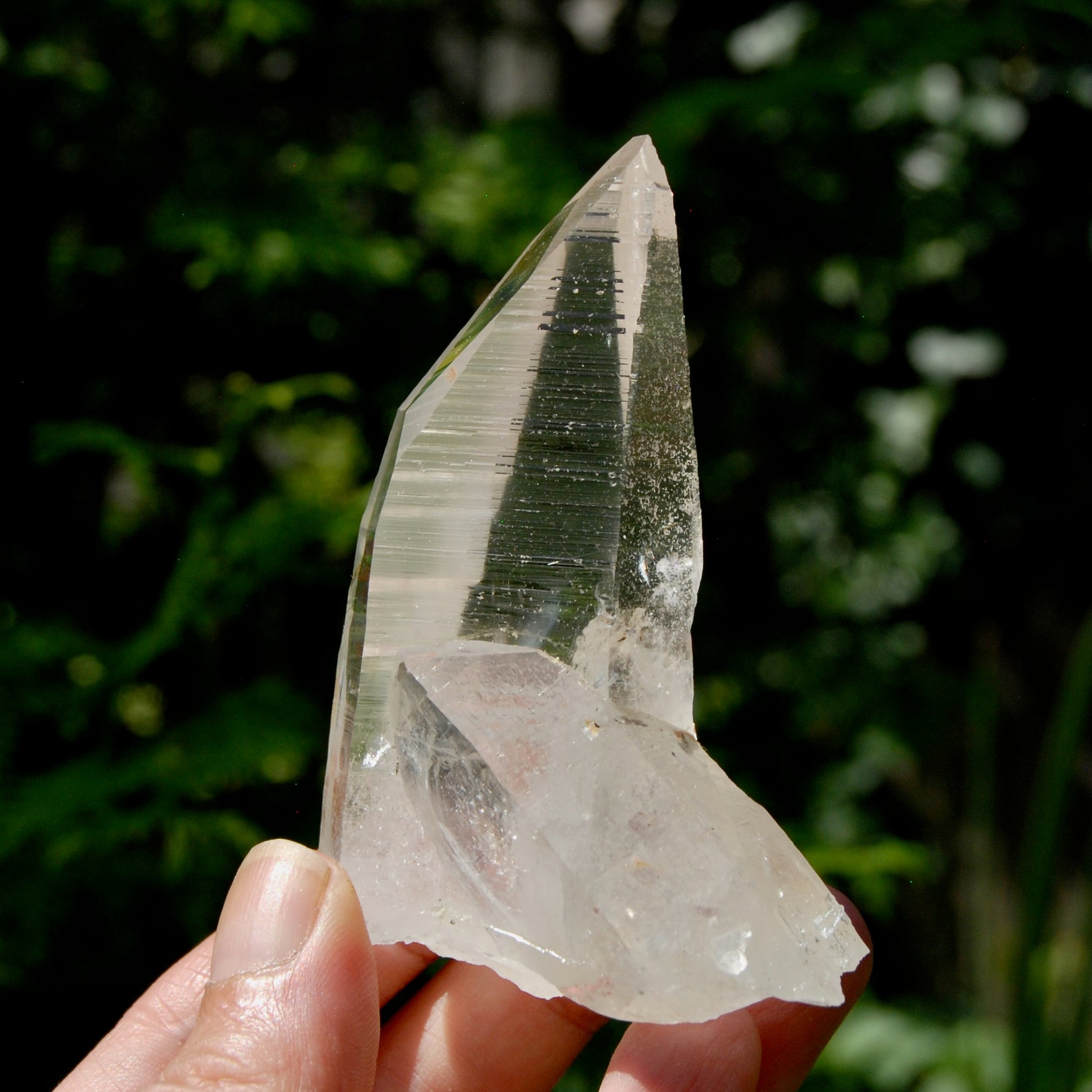 Grounding Lemurian Crystal Starbary Cluster- 3.25" 144g Optical Quartz, Colombia