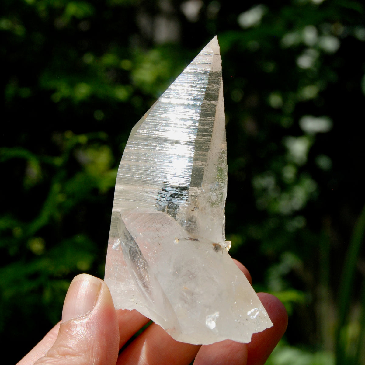Grounding Lemurian Crystal Starbary Cluster- 3.25" 144g Optical Quartz, Colombia