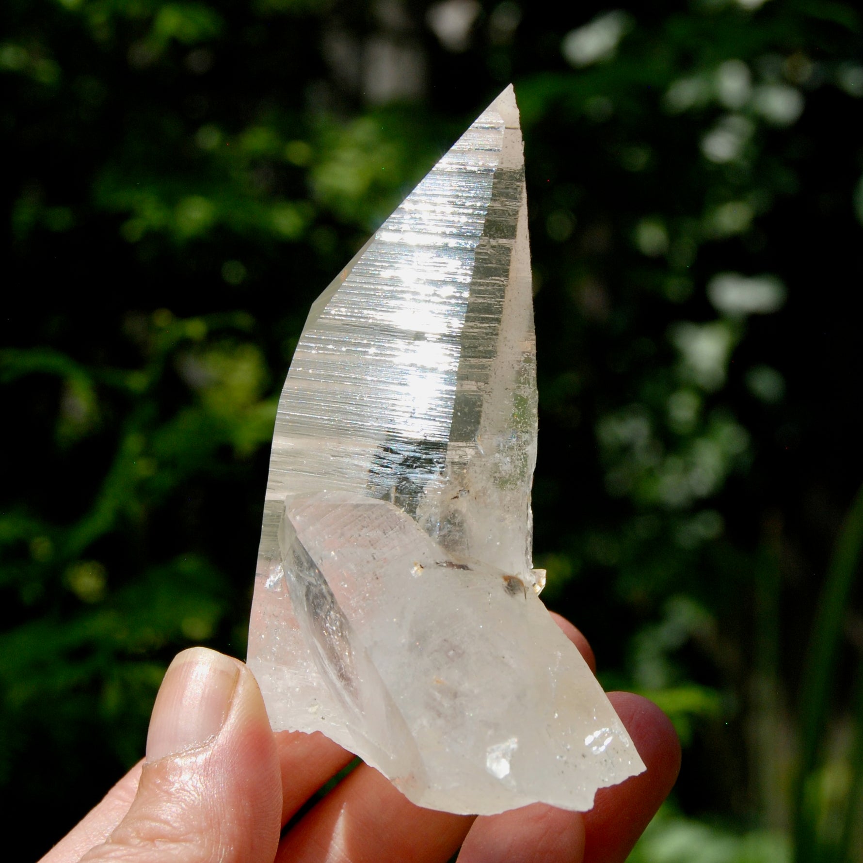 Grounding Lemurian Crystal Starbary Cluster- 3.25" 144g Optical Quartz, Colombia
