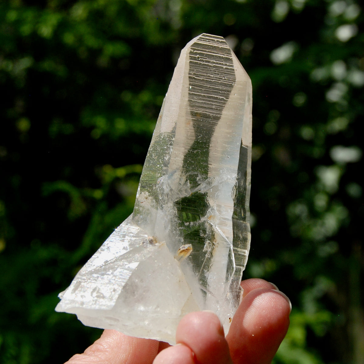 Grounding Lemurian Crystal Starbary Cluster- 3.25" 144g Optical Quartz, Colombia