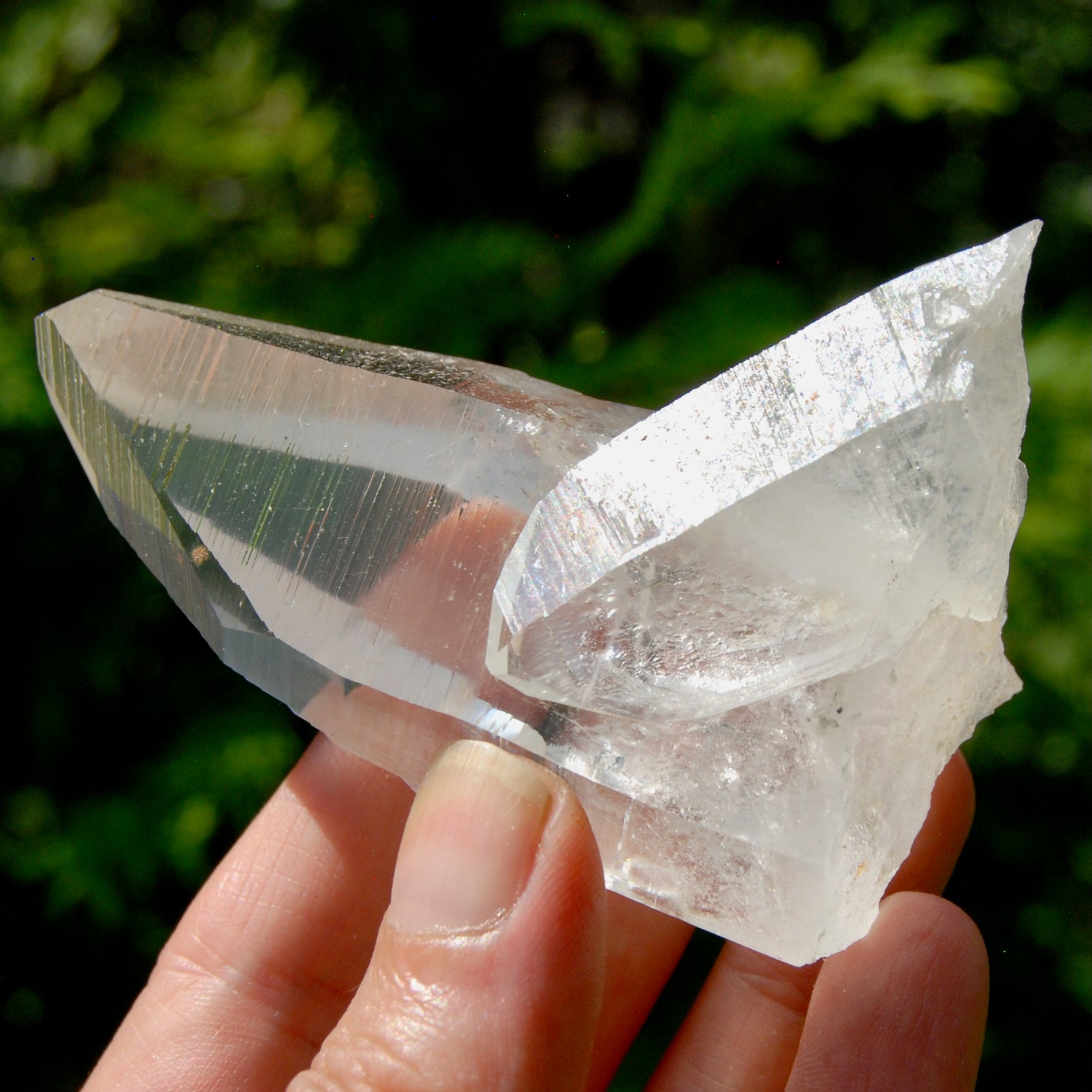 Grounding Lemurian Crystal Starbary Cluster- 3.25" 144g Optical Quartz, Colombia