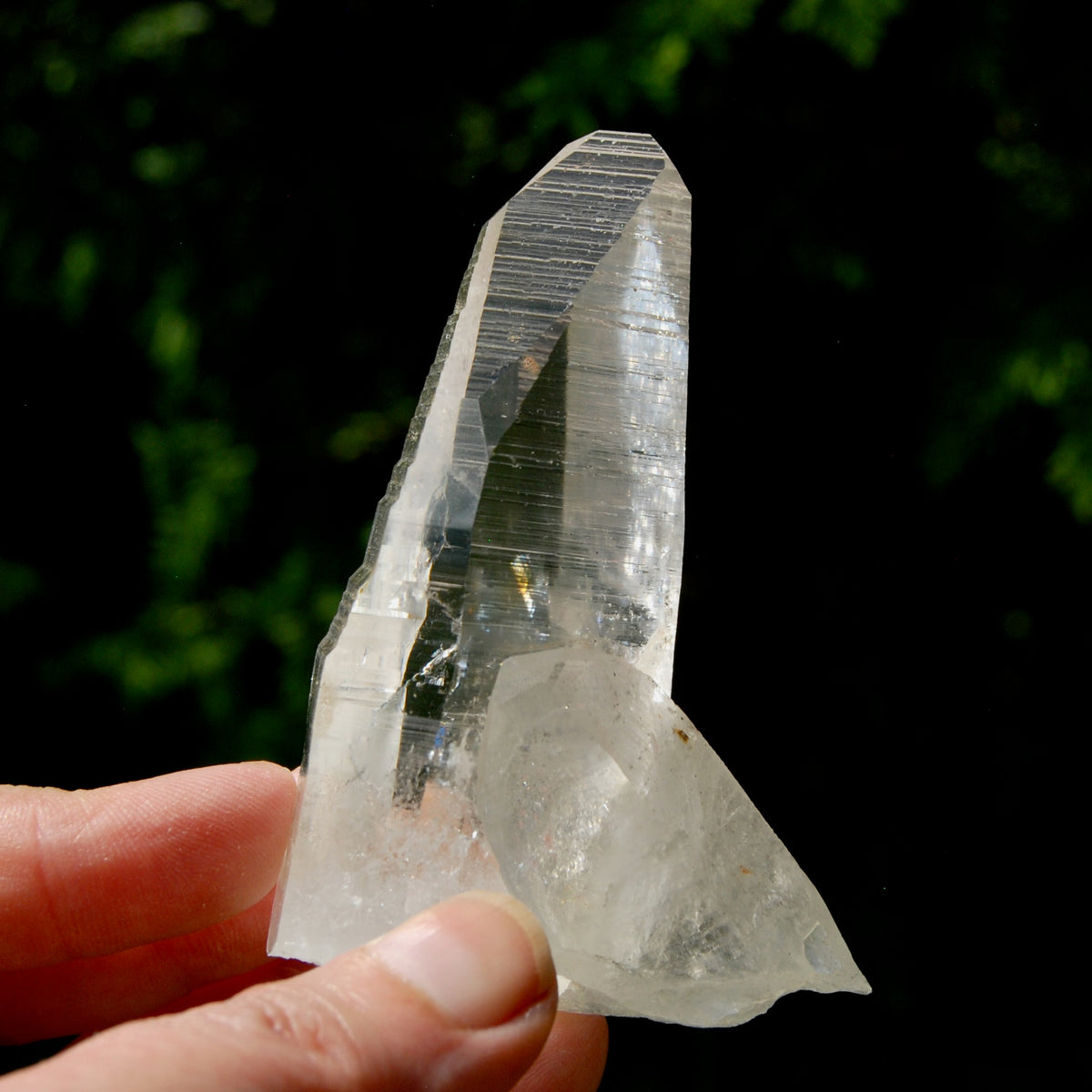 Grounding Lemurian Crystal Starbary Cluster- 3.25" 144g Optical Quartz, Colombia