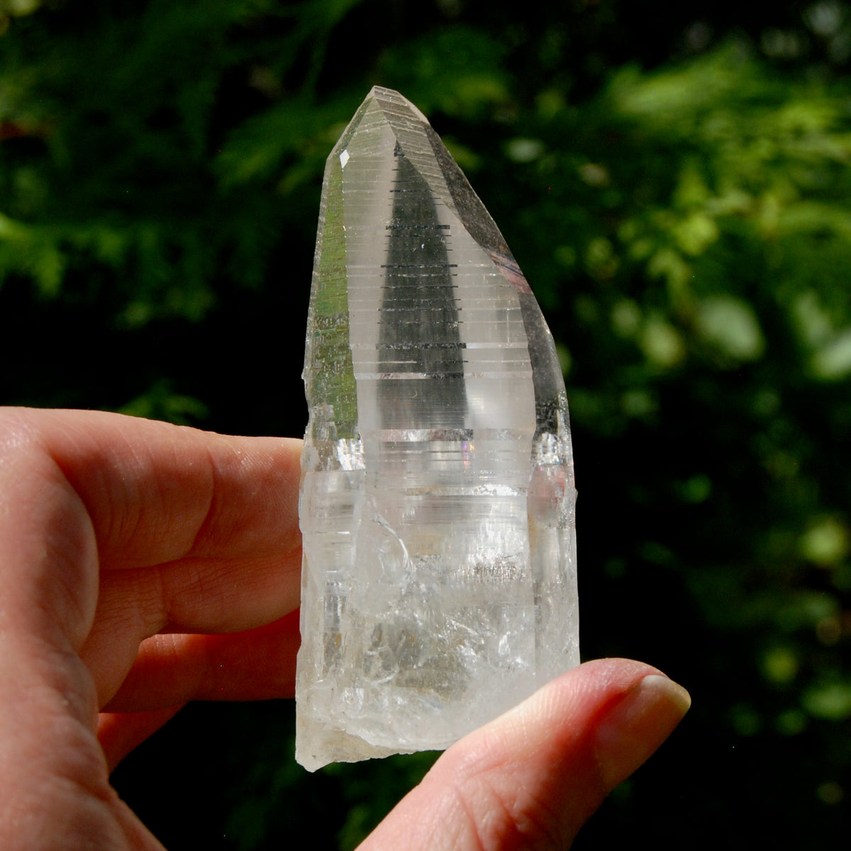 Grounding Lemurian Crystal Starbary Cluster- 3.25" 144g Optical Quartz, Colombia