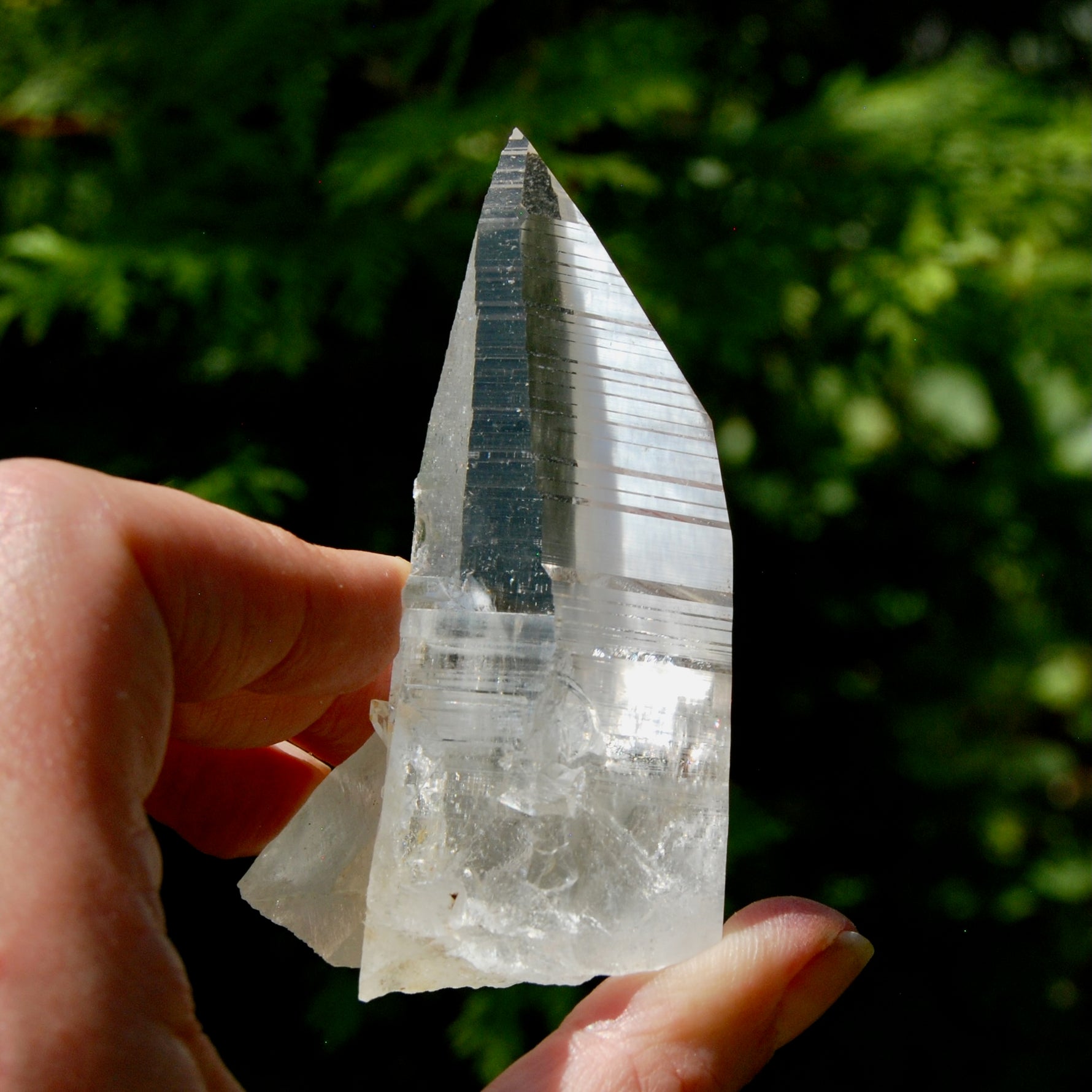Grounding Lemurian Crystal Starbary Cluster- 3.25" 144g Optical Quartz, Colombia
