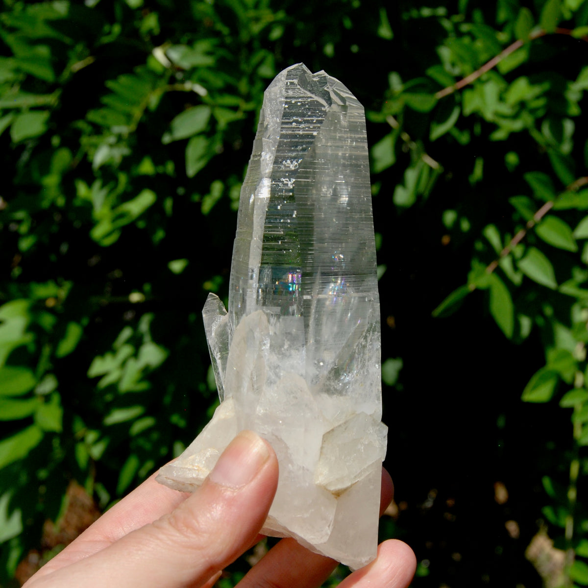 ET Lemurian Crystal Starbary Cluster- 5.5" 280g Optical Quartz, Colombia