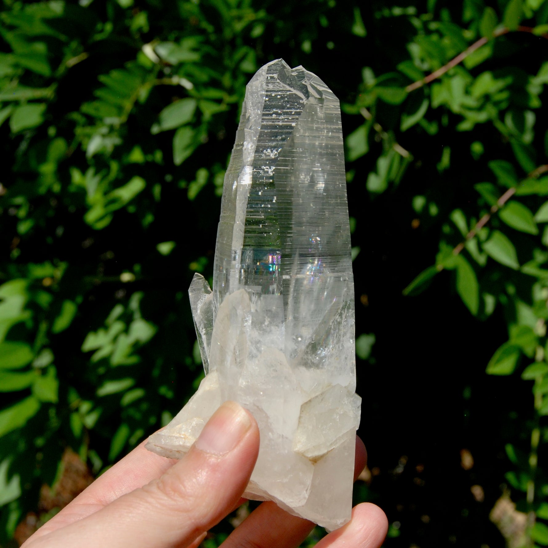 ET Lemurian Crystal Starbary Cluster- 5.5" 280g Optical Quartz, Colombia