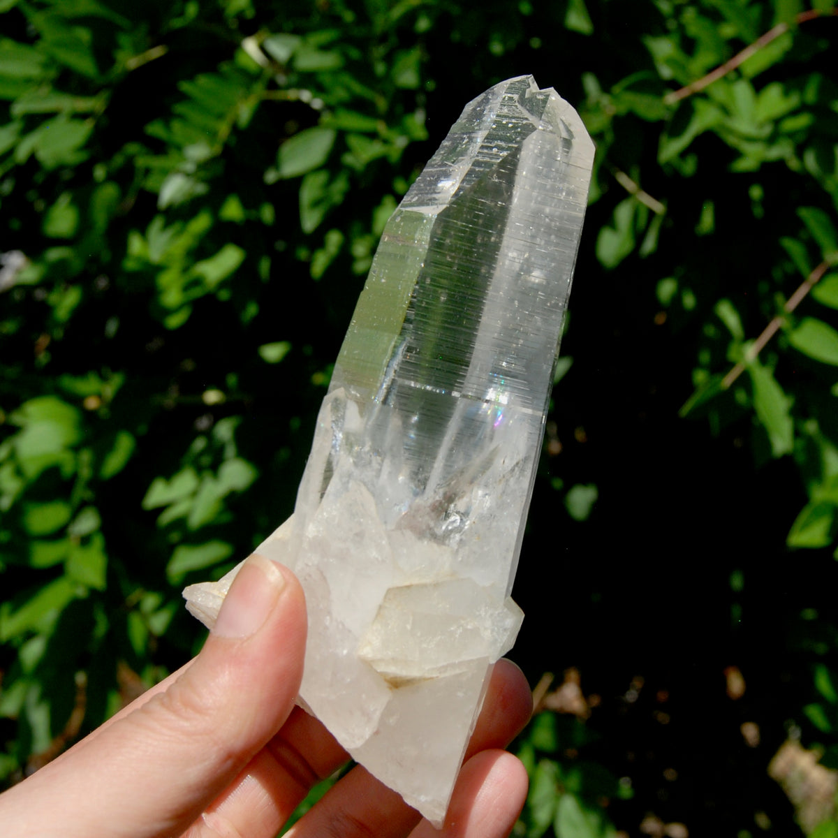 ET Lemurian Crystal Starbary Cluster- 5.5" 280g Optical Quartz, Colombia