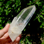 ET Lemurian Crystal Starbary Cluster- 5.5" 280g Optical Quartz, Colombia