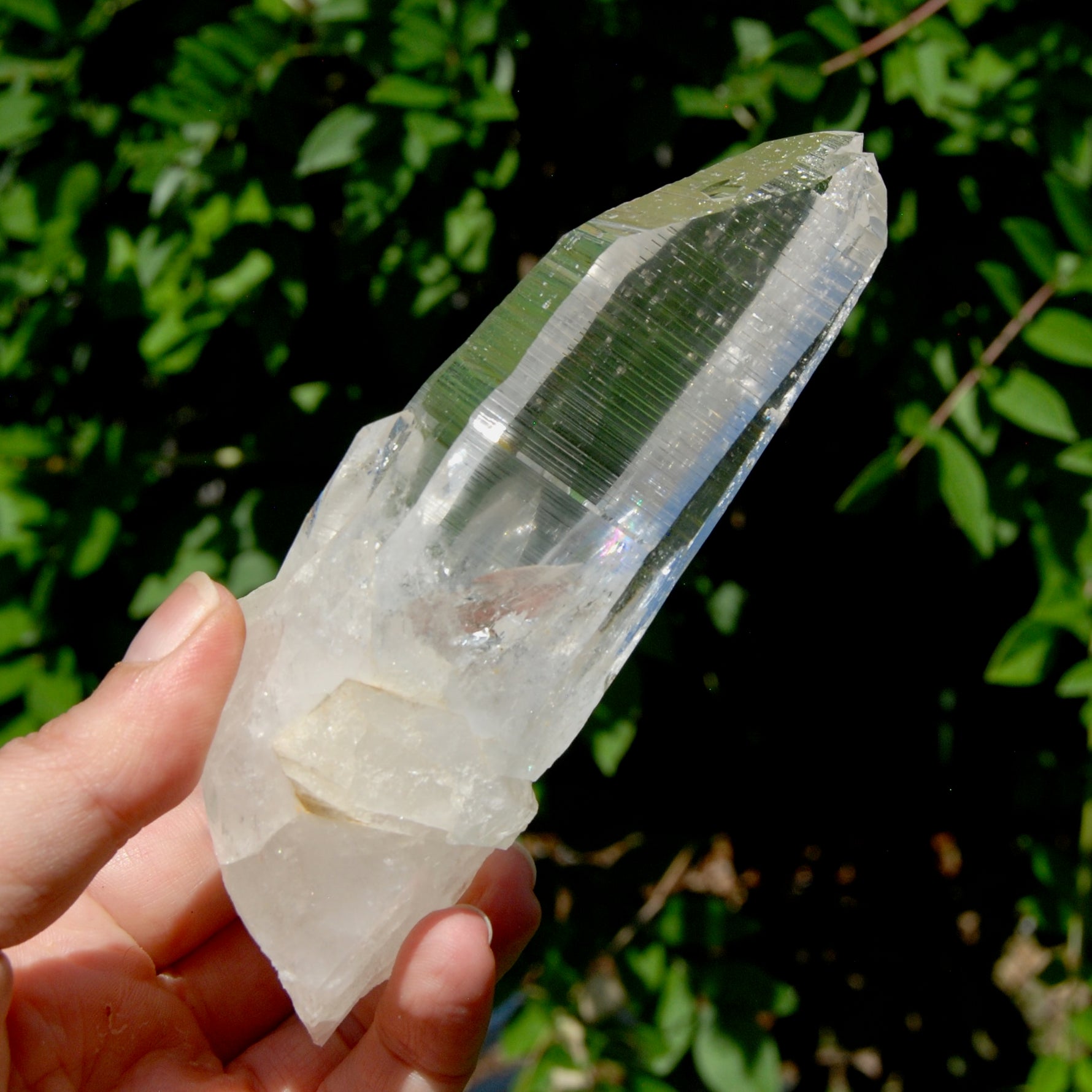 ET Lemurian Crystal Starbary Cluster- 5.5" 280g Optical Quartz, Colombia