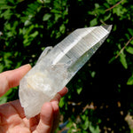ET Lemurian Crystal Starbary Cluster- 5.5" 280g Optical Quartz, Colombia