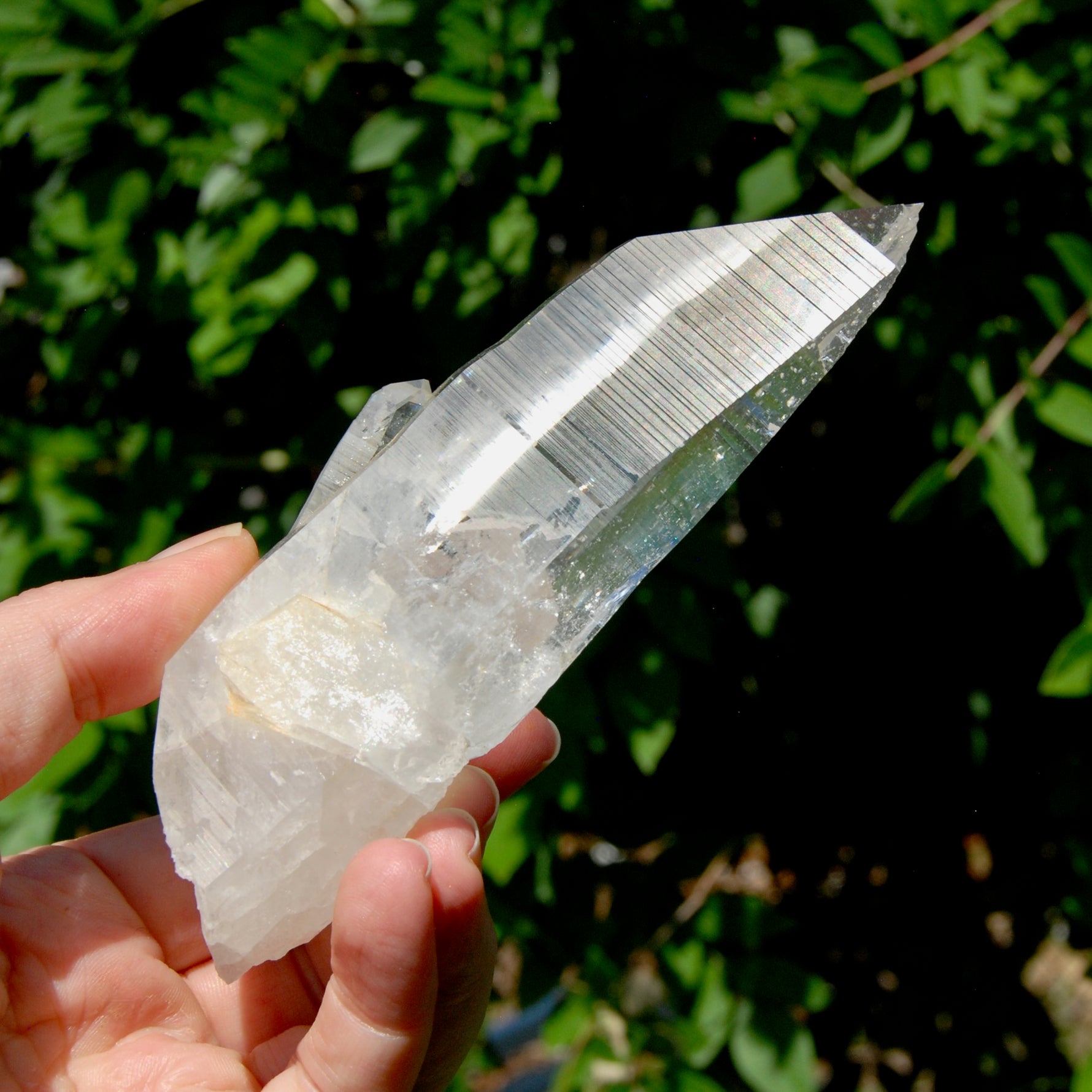 ET Lemurian Crystal Starbary Cluster- 5.5" 280g Optical Quartz, Colombia