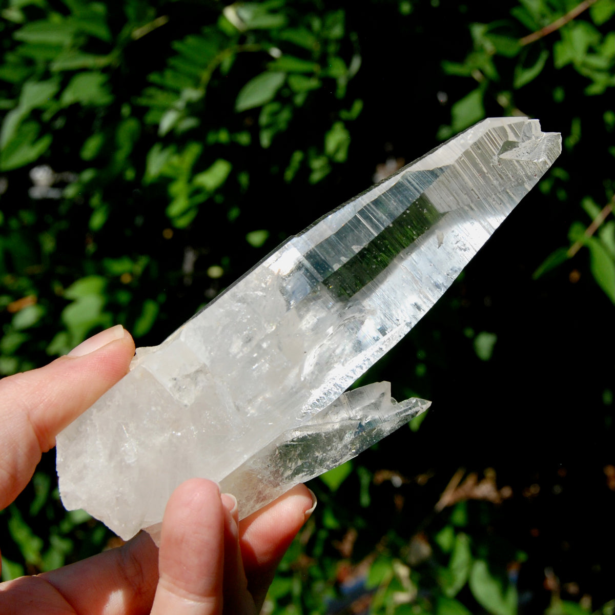 ET Lemurian Crystal Starbary Cluster- 5.5" 280g Optical Quartz, Colombia