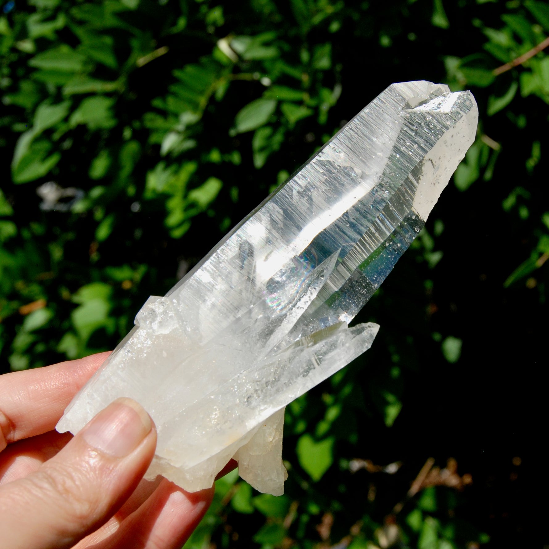 ET Lemurian Crystal Starbary Cluster- 5.5" 280g Optical Quartz, Colombia