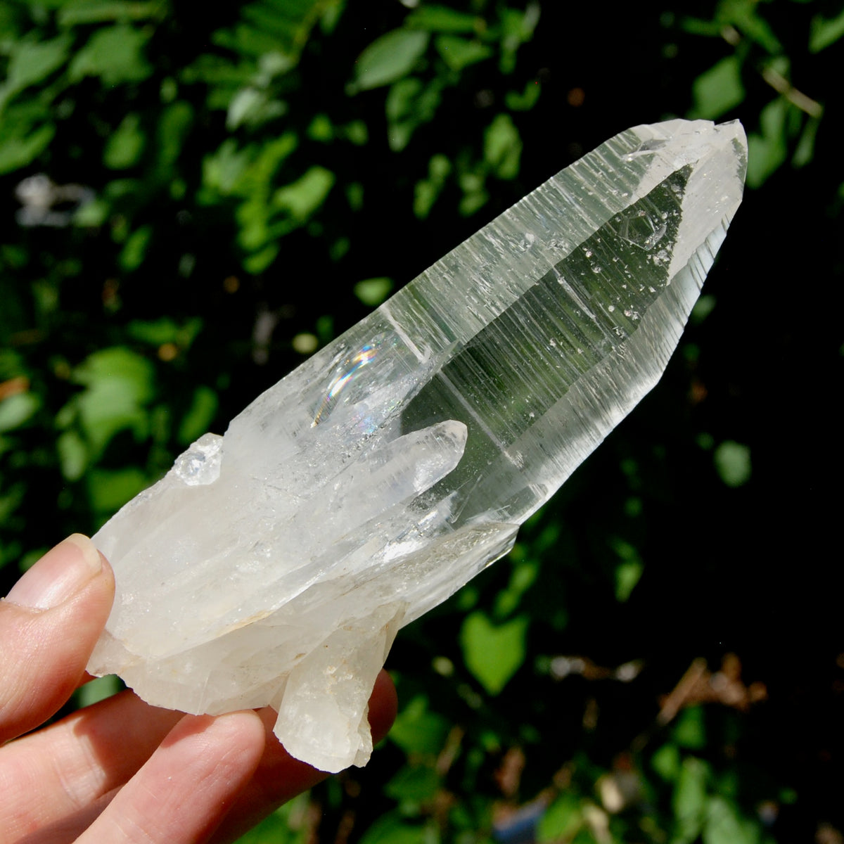 ET Lemurian Crystal Starbary Cluster- 5.5" 280g Optical Quartz, Colombia