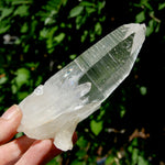 ET Lemurian Crystal Starbary Cluster- 5.5" 280g Optical Quartz, Colombia