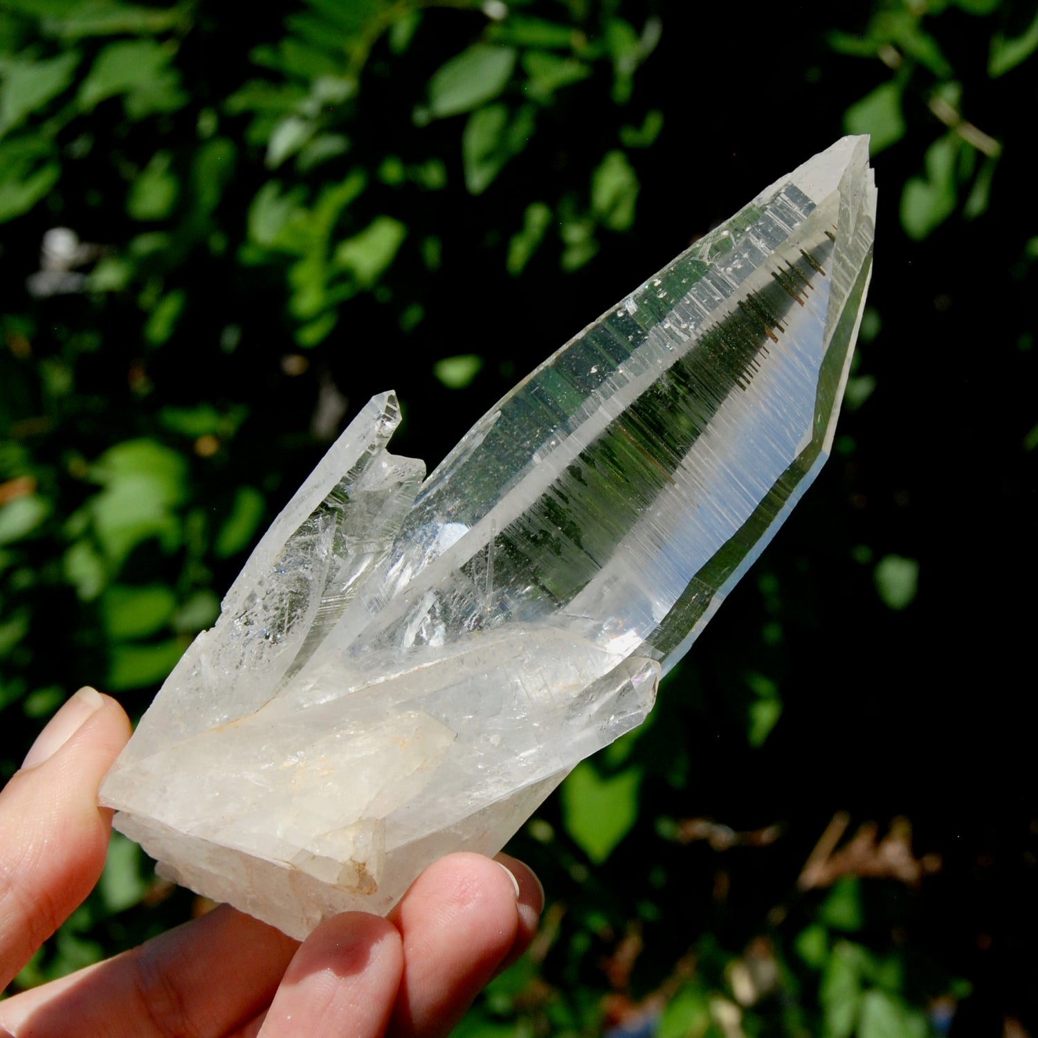 ET Lemurian Crystal Starbary Cluster- 5.5" 280g Optical Quartz, Colombia