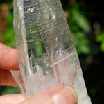 ET Lemurian Crystal Starbary Cluster- 5.5" 280g Optical Quartz, Colombia