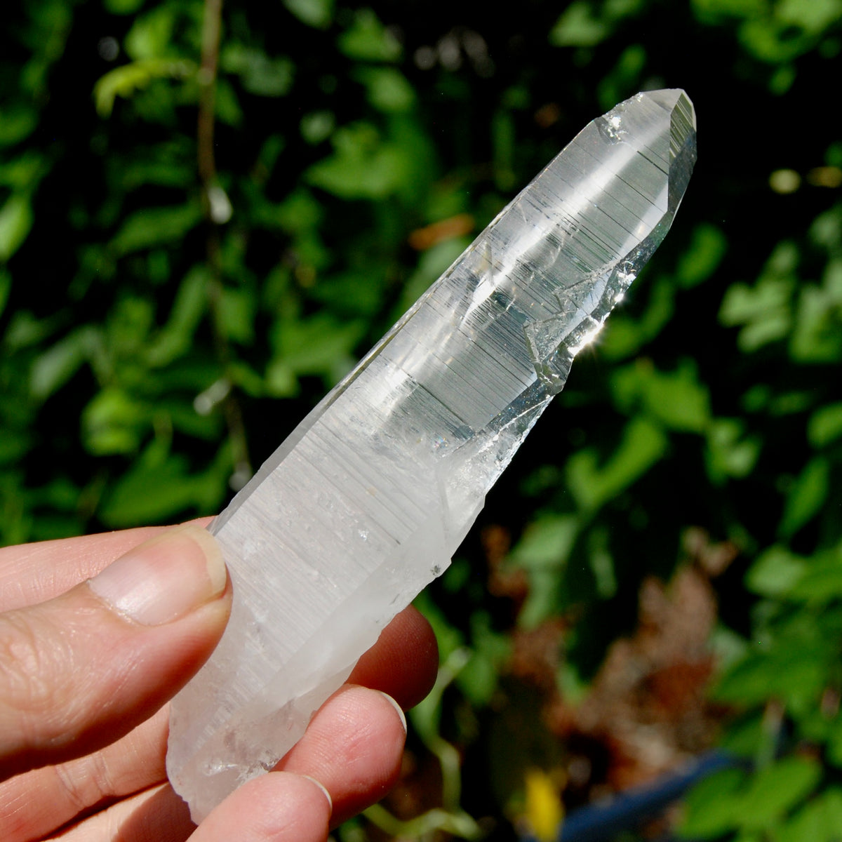 Lightning Strike Lemurian Crystal Starbary- 4.5" 69g Etched Singing Optical Quartz, Colombia