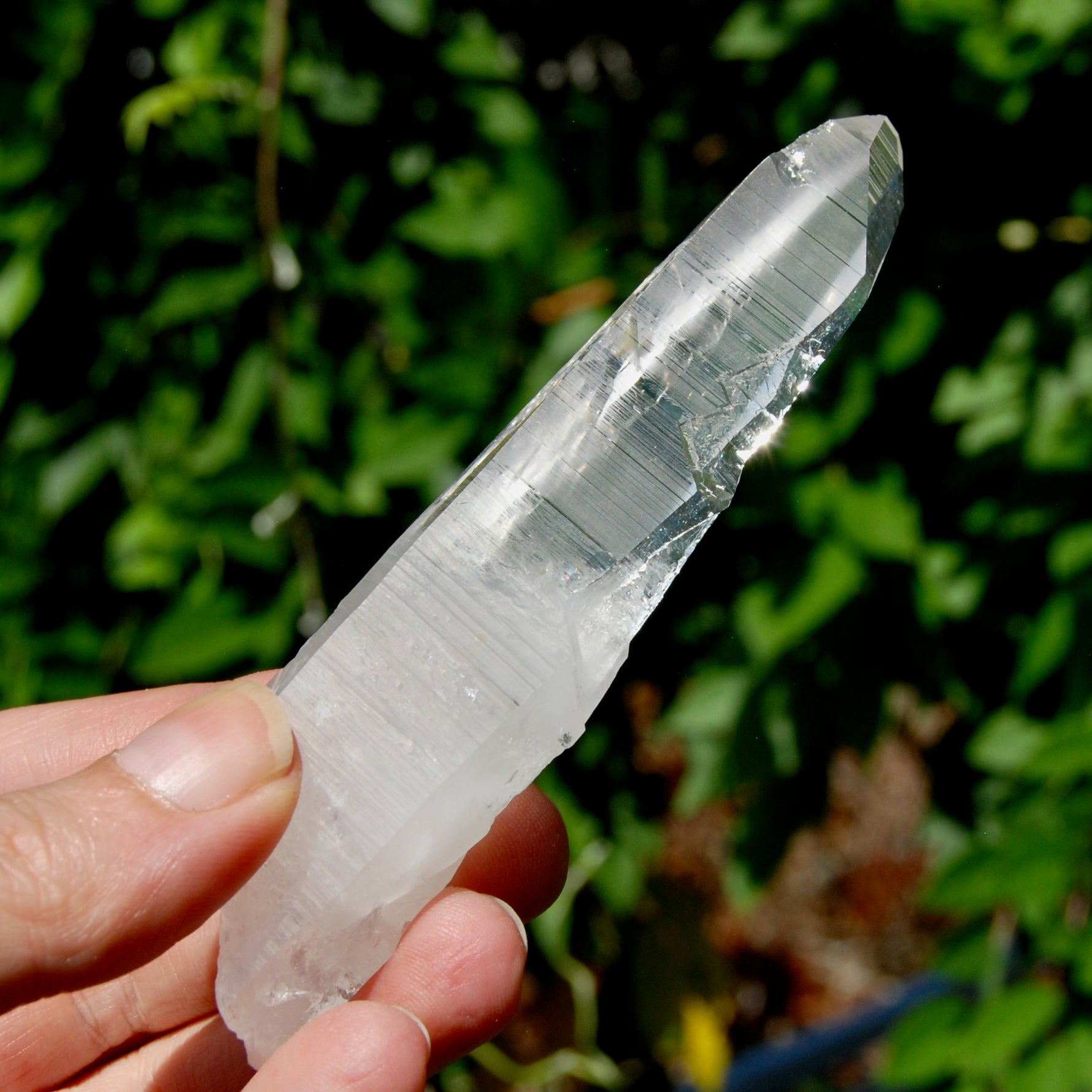 Lightning Strike Lemurian Crystal Starbary- 4.5" 69g Etched Singing Optical Quartz, Colombia