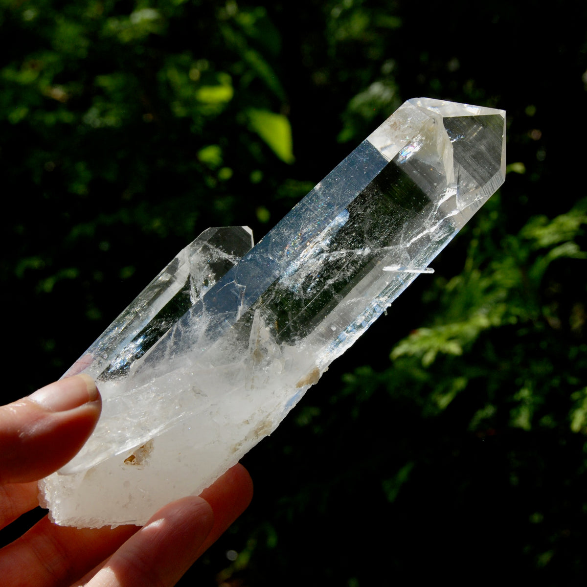Tantric Twin Channeler Blades of Light Lemurian Crystal Starbrary, 6" 306g Powerful Record Keeper Optical Quartz, Colombia