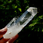 Tantric Twin Channeler Blades of Light Lemurian Crystal Starbrary, 6" 306g Powerful Record Keeper Optical Quartz, Colombia