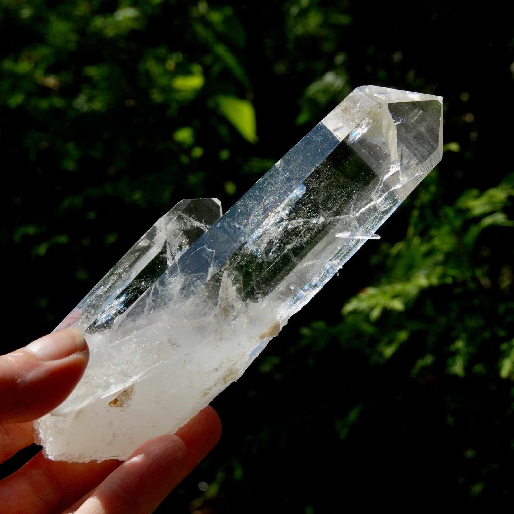 Tantric Twin Channeler Blades of Light Lemurian Crystal Starbrary, 6" 306g Powerful Record Keeper Optical Quartz, Colombia