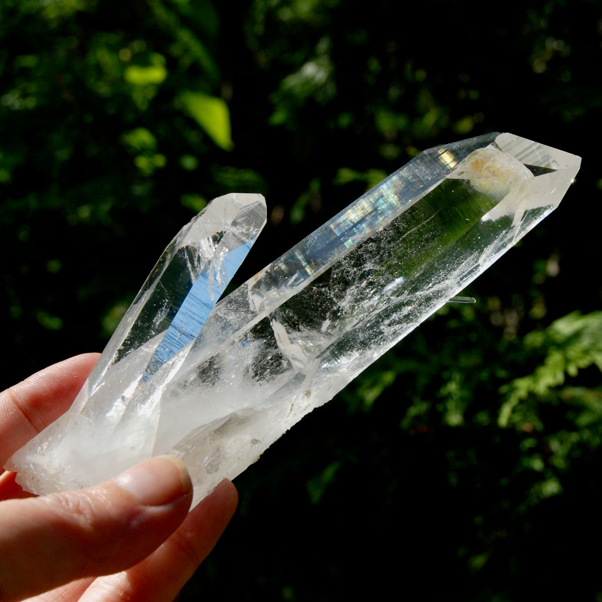 Tantric Twin Channeler Blades of Light Lemurian Crystal Starbrary, 6" 306g Powerful Record Keeper Optical Quartz, Colombia
