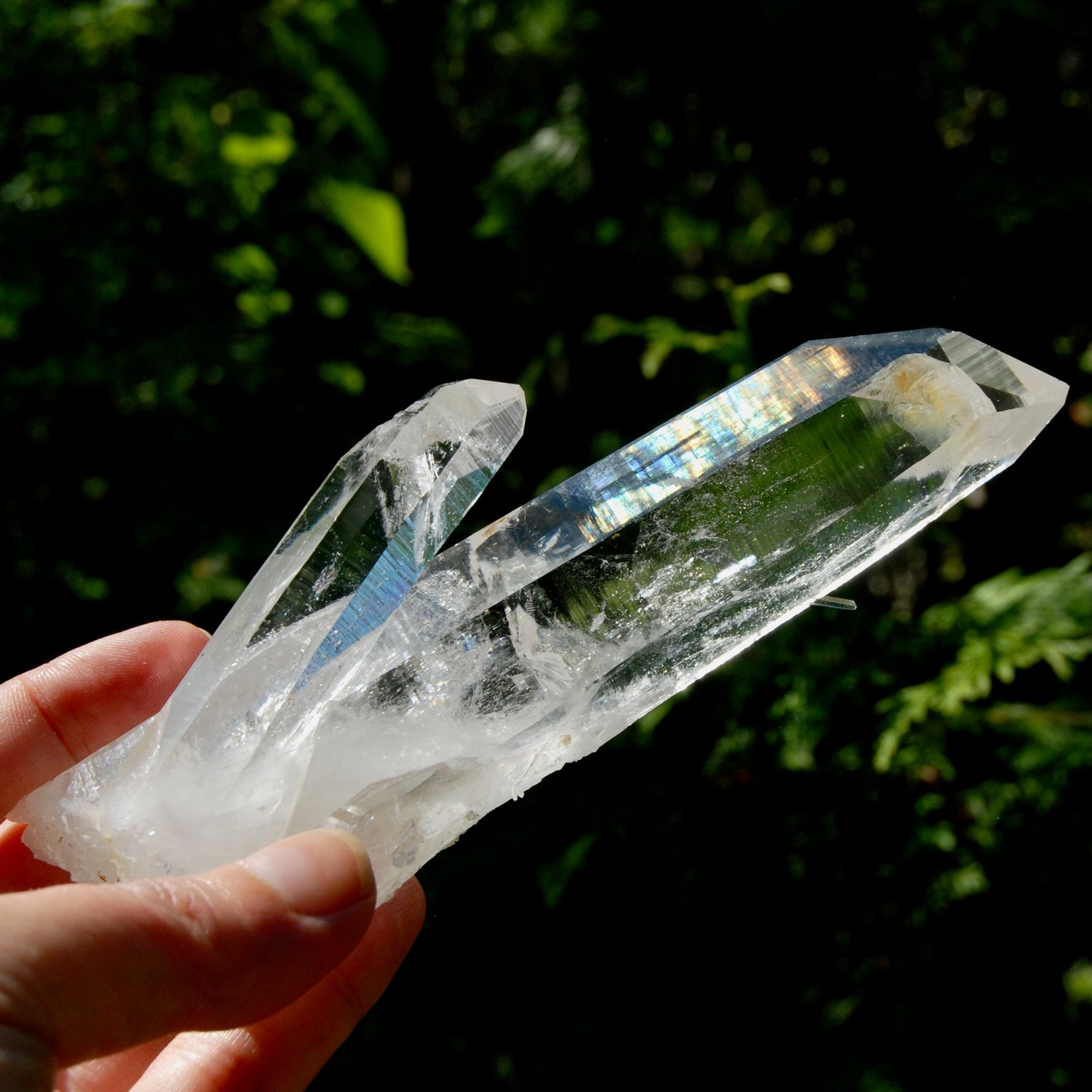 Tantric Twin Channeler Blades of Light Lemurian Crystal Starbrary, 6" 306g Powerful Record Keeper Optical Quartz, Colombia
