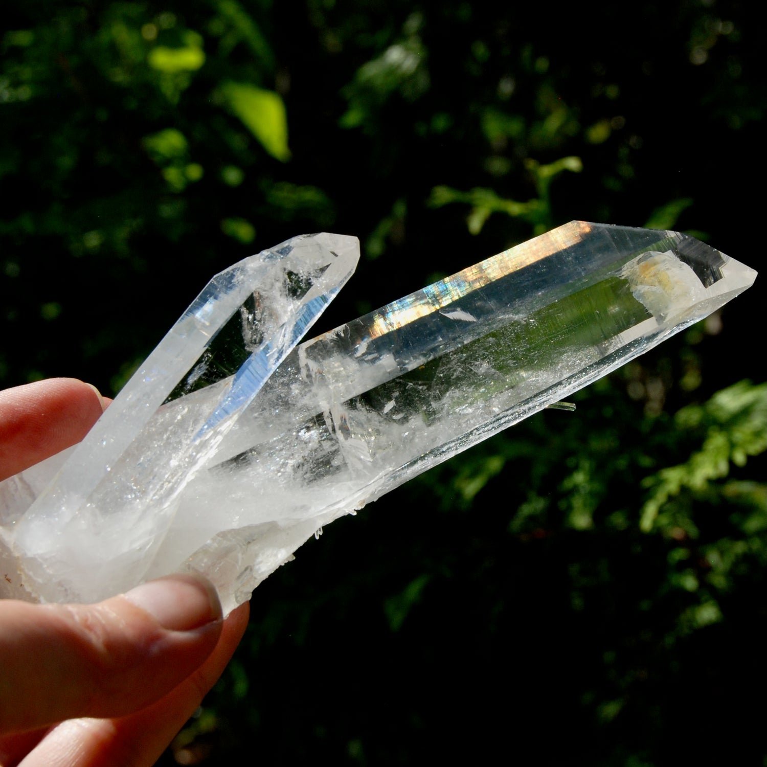 Tantric Twin Channeler Blades of Light Lemurian Crystal Starbrary, 6" 306g Powerful Record Keeper Optical Quartz, Colombia
