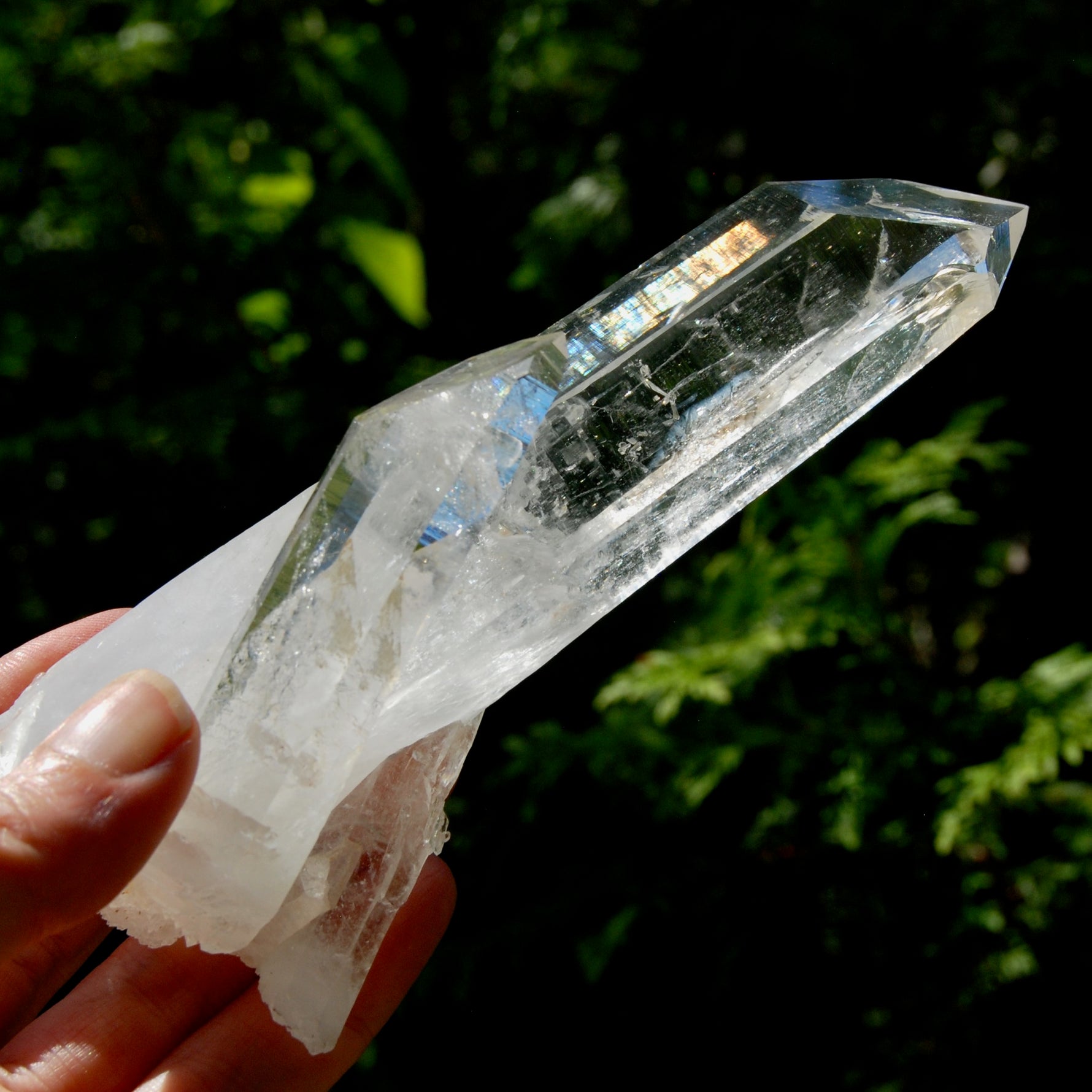 Tantric Twin Channeler Blades of Light Lemurian Crystal Starbrary, 6" 306g Powerful Record Keeper Optical Quartz, Colombia