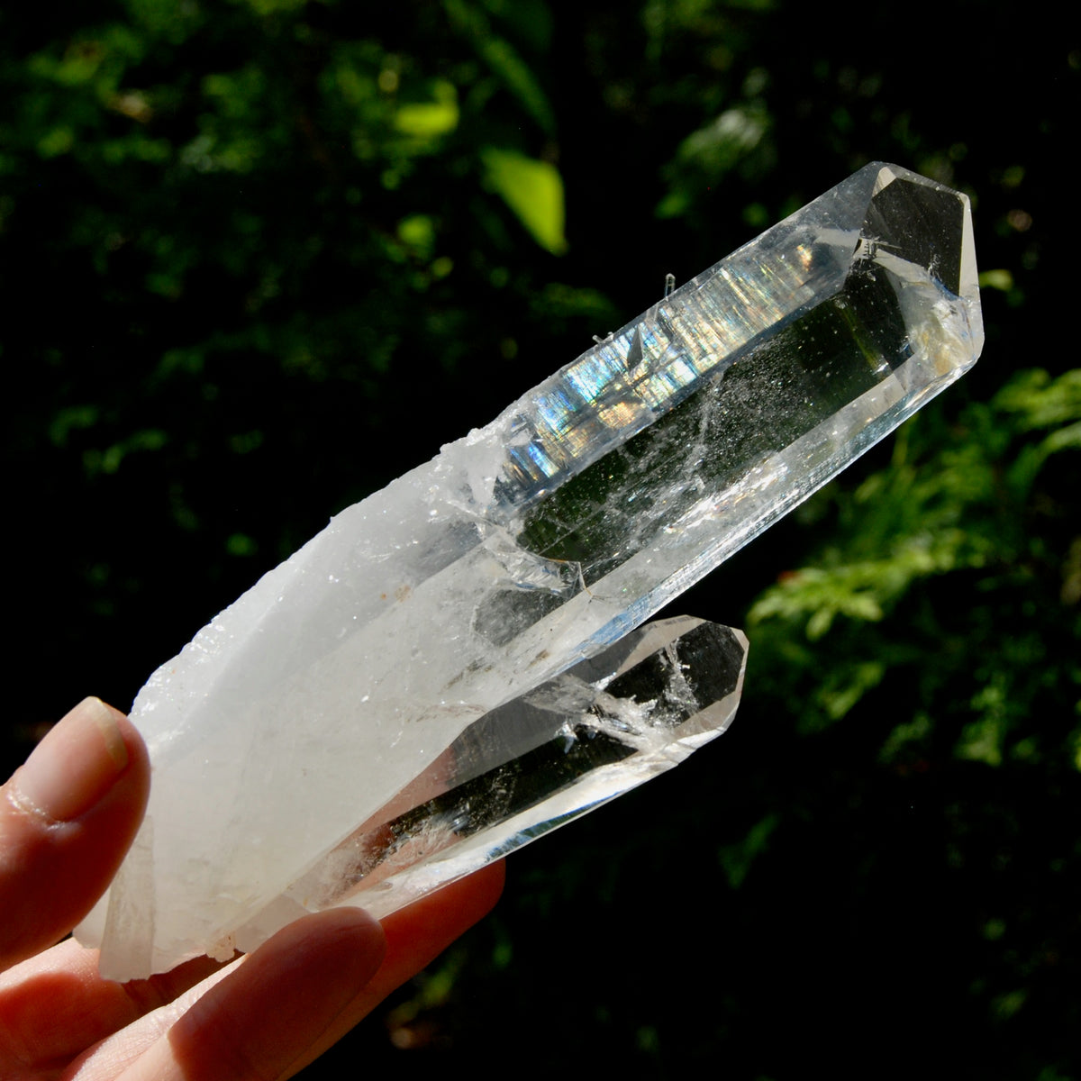 Tantric Twin Channeler Blades of Light Lemurian Crystal Starbrary, 6" 306g Powerful Record Keeper Optical Quartz, Colombia