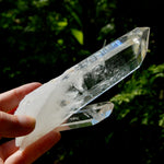 Tantric Twin Channeler Blades of Light Lemurian Crystal Starbrary, 6" 306g Powerful Record Keeper Optical Quartz, Colombia