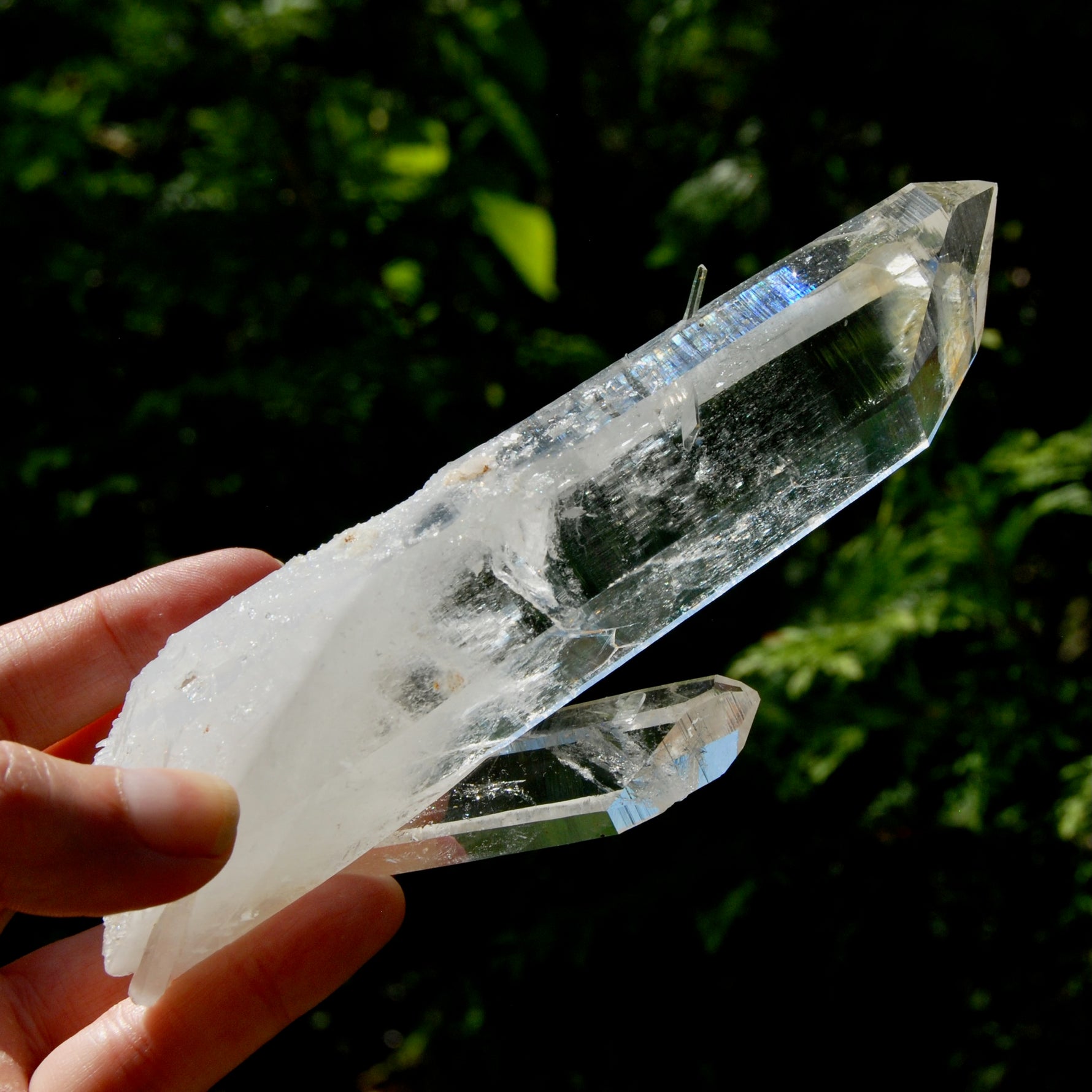 Tantric Twin Channeler Blades of Light Lemurian Crystal Starbrary, 6" 306g Powerful Record Keeper Optical Quartz, Colombia