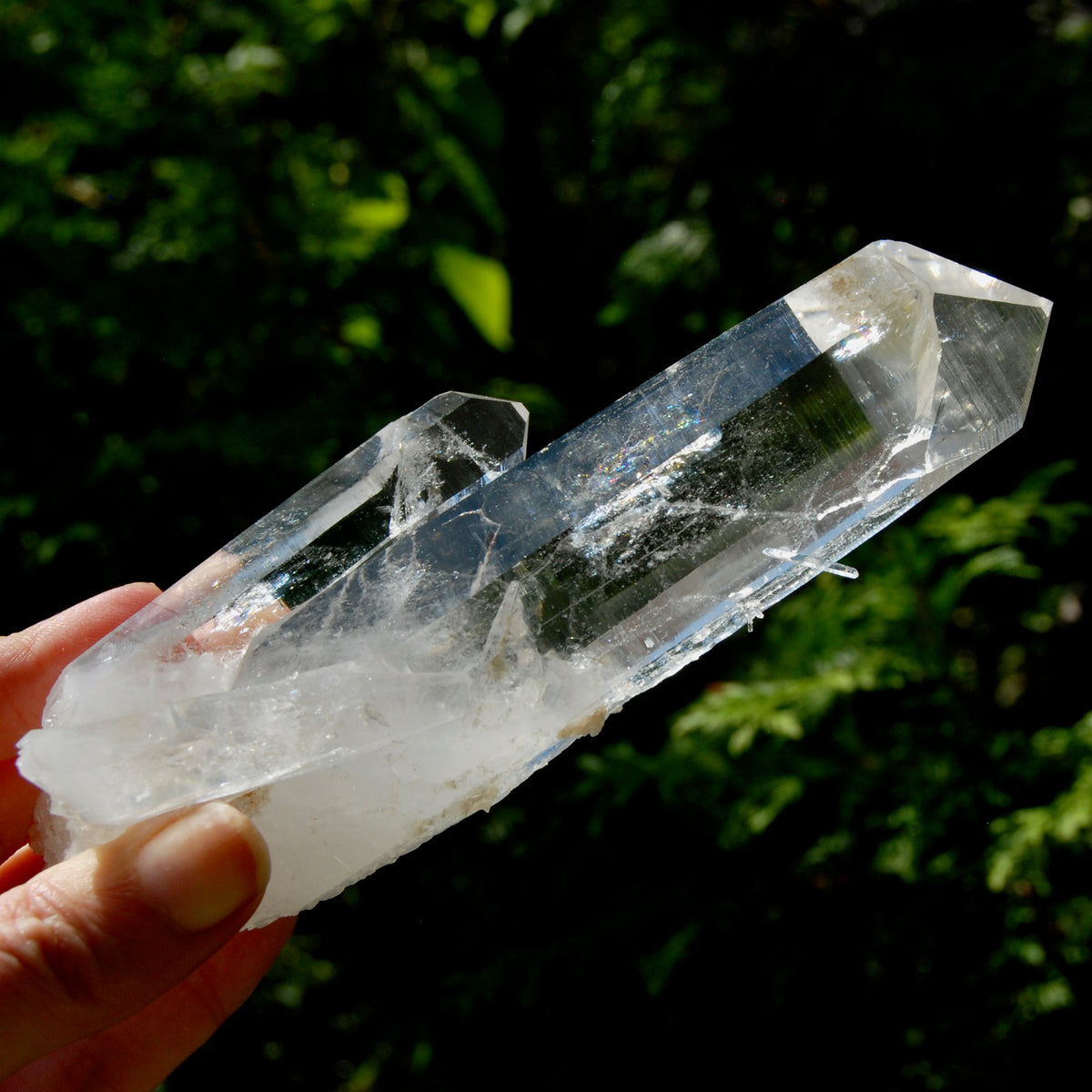 Tantric Twin Channeler Blades of Light Lemurian Crystal Starbrary, 6" 306g Powerful Record Keeper Optical Quartz, Colombia