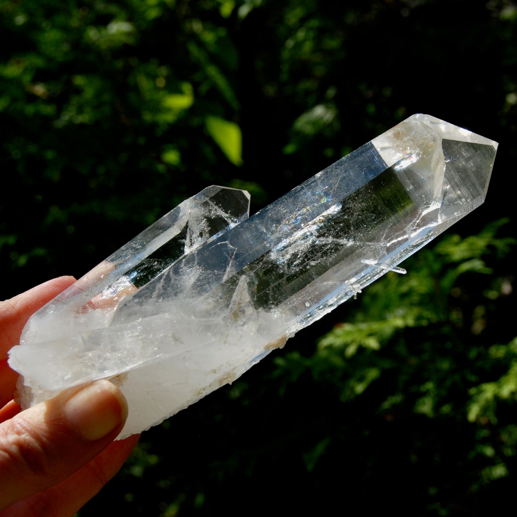 Tantric Twin Channeler Blades of Light Lemurian Crystal Starbrary, 6" 306g Powerful Record Keeper Optical Quartz, Colombia