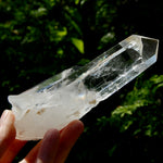 Tantric Twin Channeler Blades of Light Lemurian Crystal Starbrary, 6" 306g Powerful Record Keeper Optical Quartz, Colombia