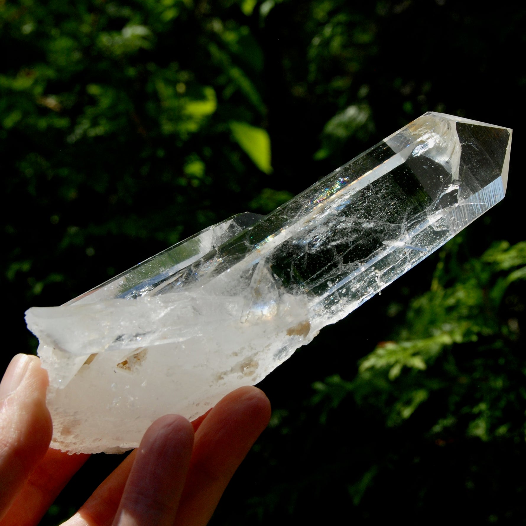 Tantric Twin Channeler Blades of Light Lemurian Crystal Starbrary, 6" 306g Powerful Record Keeper Optical Quartz, Colombia