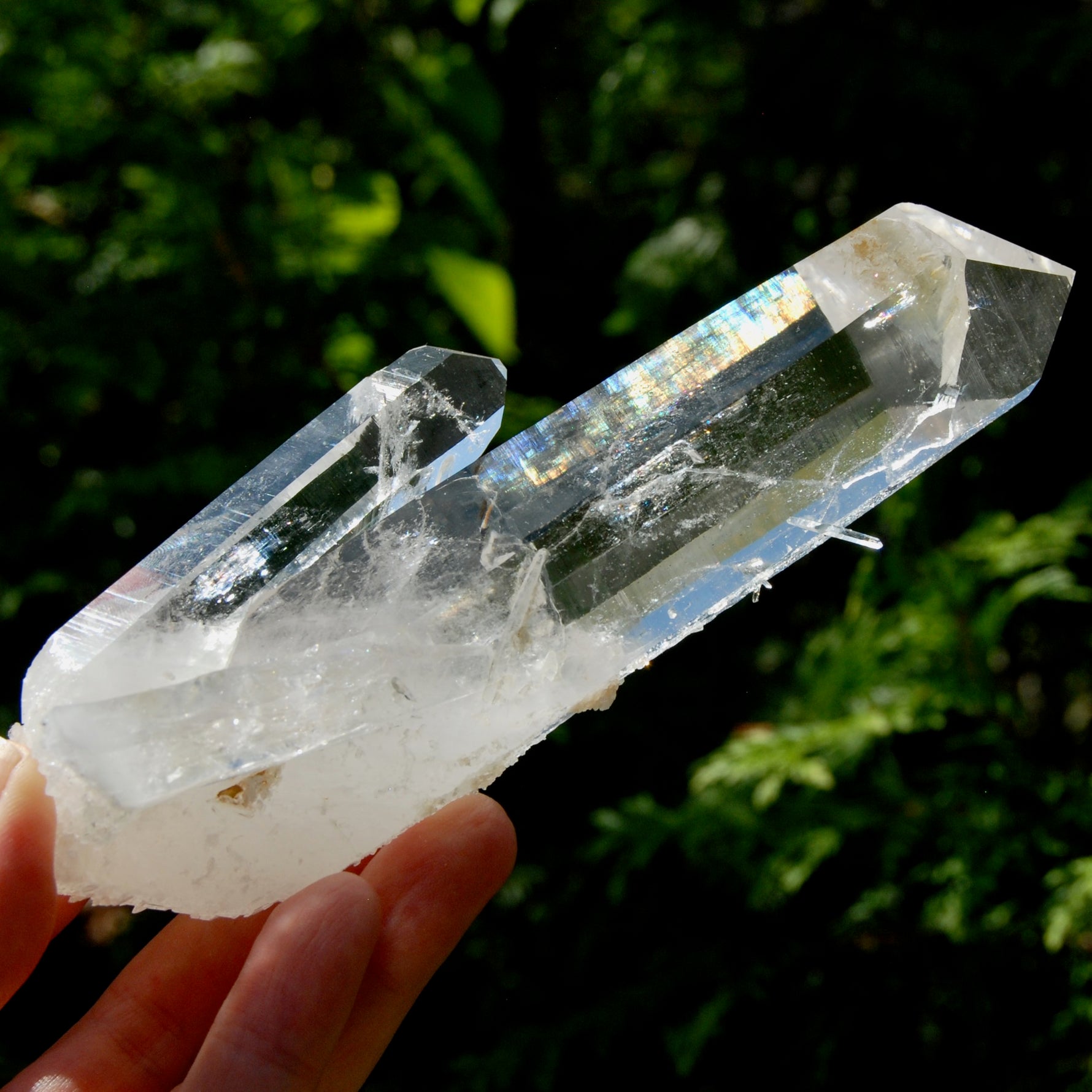Tantric Twin Channeler Blades of Light Lemurian Crystal Starbrary, 6" 306g Powerful Record Keeper Optical Quartz, Colombia