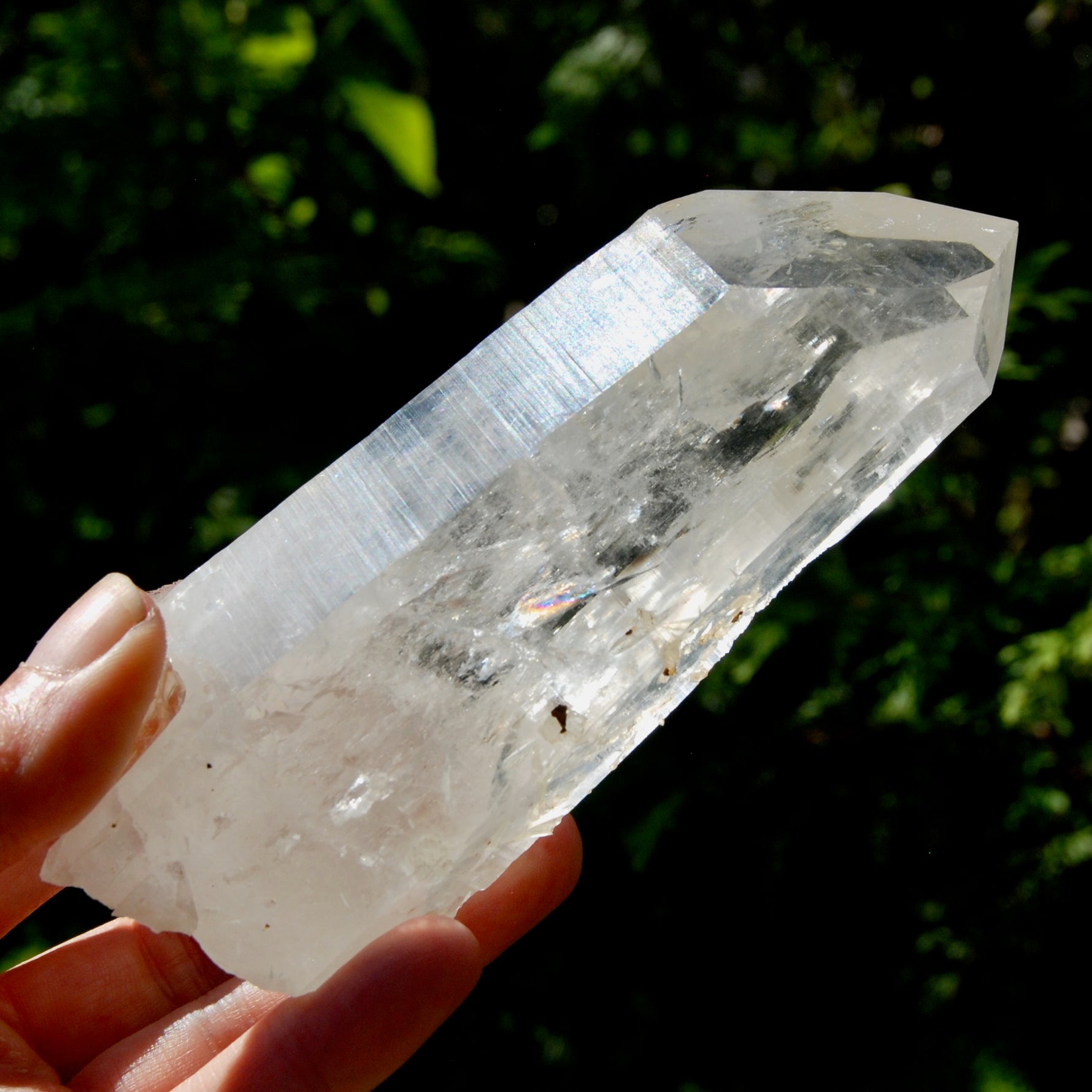 Record Keeper Channeler Blades of Light Lemurian Crystal Starbrary, 5.5" 377g Powerful Rainbow Filled Optical Devic Temple, Colombia