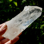 Record Keeper Channeler Blades of Light Lemurian Crystal Starbrary, 5.5" 377g Powerful Rainbow Filled Optical Devic Temple, Colombia