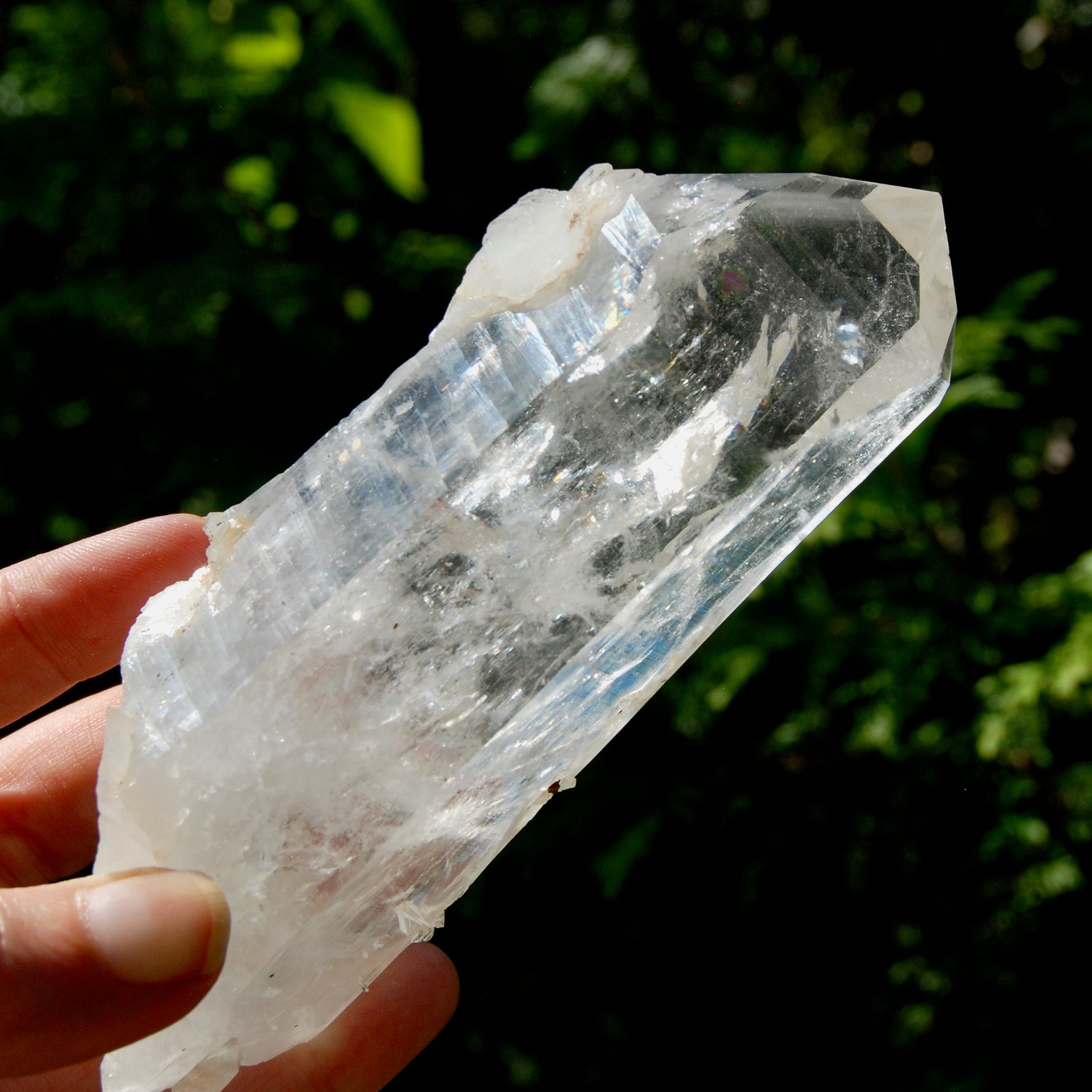 Record Keeper Channeler Blades of Light Lemurian Crystal Starbrary, 5.5" 377g Powerful Rainbow Filled Optical Devic Temple, Colombia