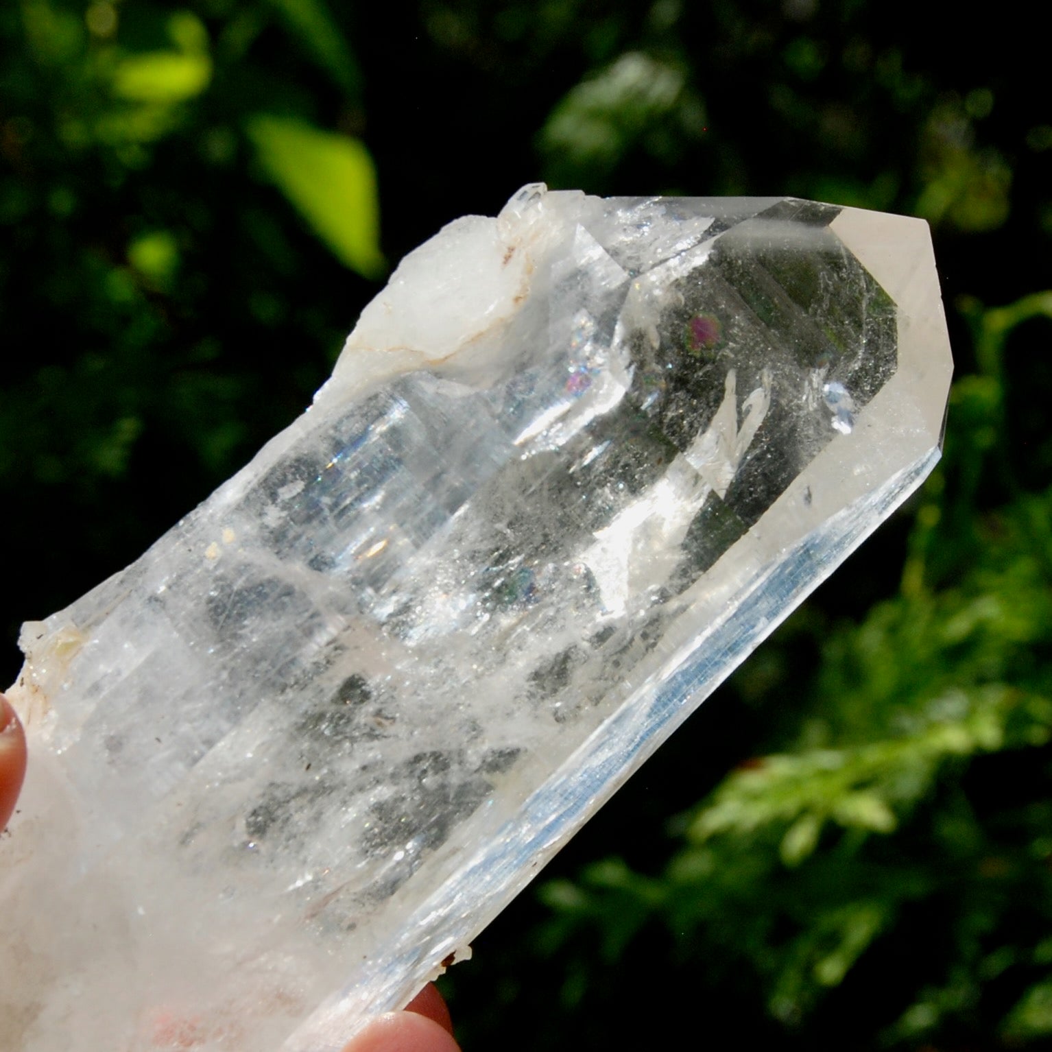 Record Keeper Channeler Blades of Light Lemurian Crystal Starbrary, 5.5" 377g Powerful Rainbow Filled Optical Devic Temple, Colombia