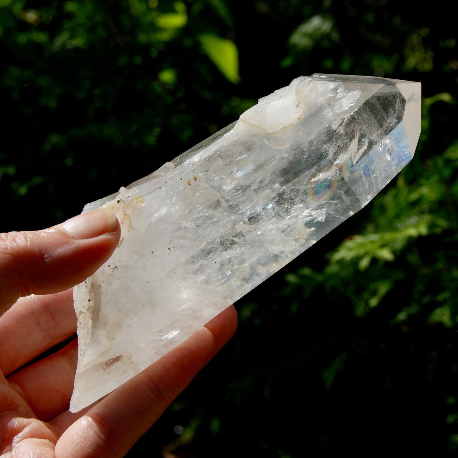 Record Keeper Channeler Blades of Light Lemurian Crystal Starbrary, 5.5" 377g Powerful Rainbow Filled Optical Devic Temple, Colombia
