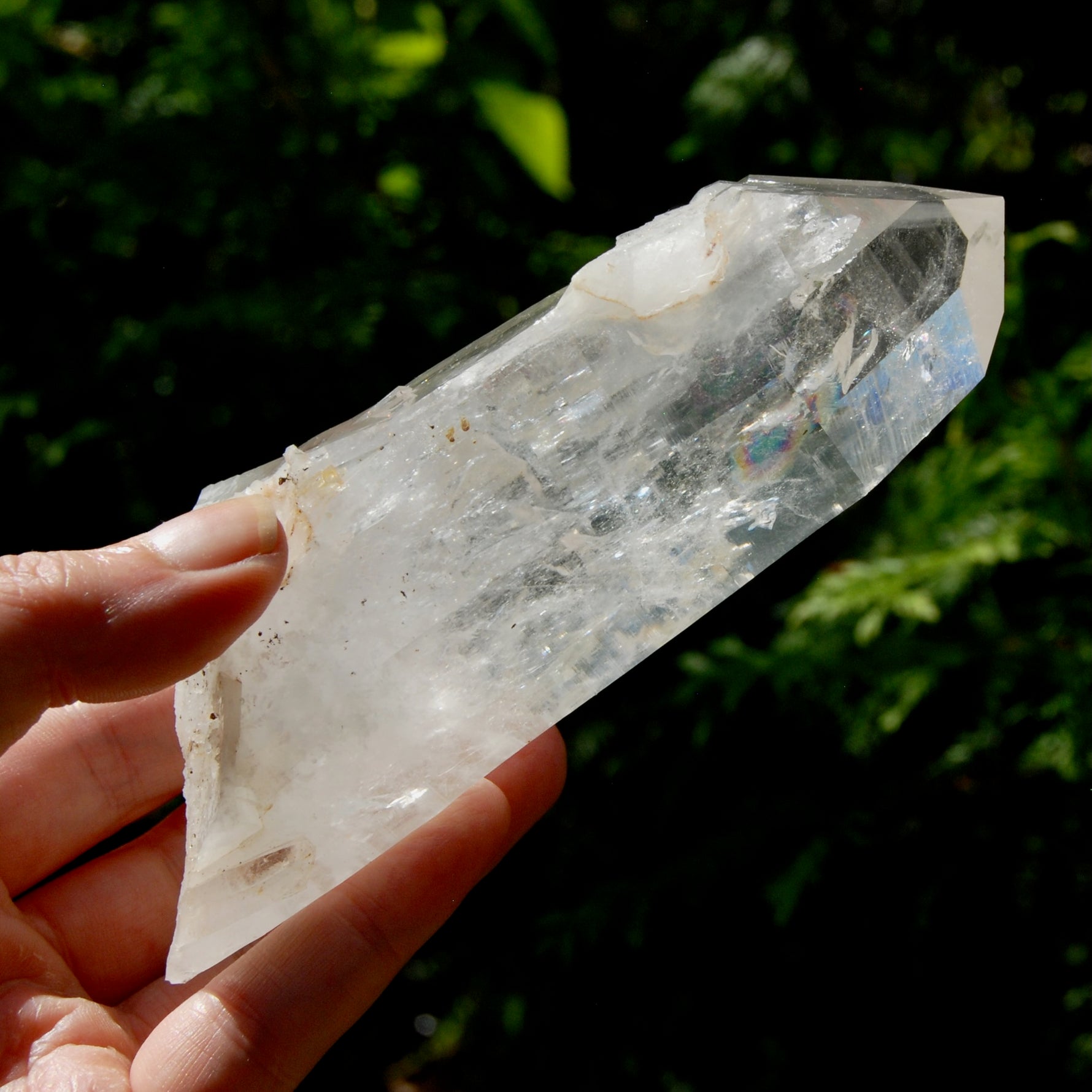 Record Keeper Channeler Blades of Light Lemurian Crystal Starbrary, 5.5" 377g Powerful Rainbow Filled Optical Devic Temple, Colombia